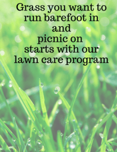 local lawn care service